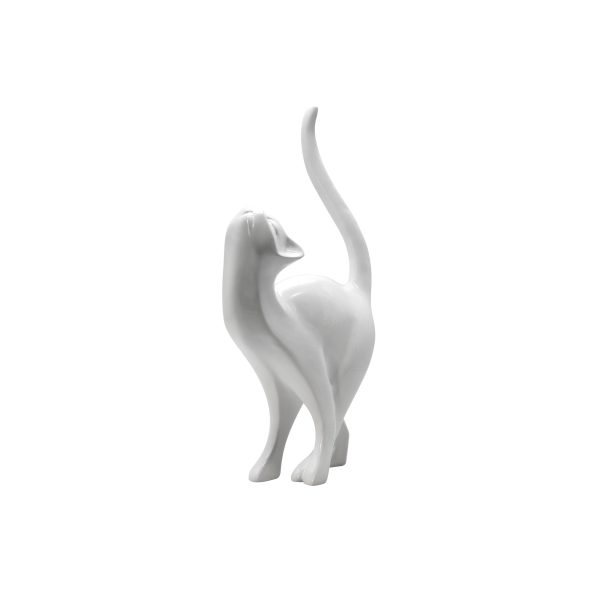 whitecat (1)
