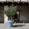 bordato liscio