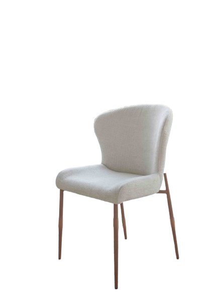 AURORA_1-removebg-preview