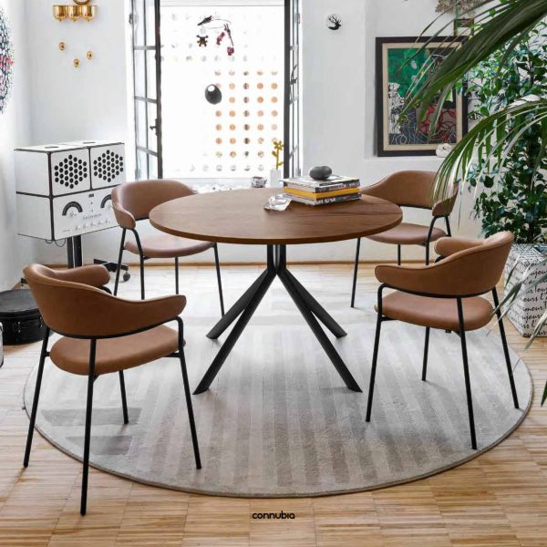 Giove_Cat_Connubia_2024_CB4739_Low-images-1